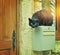 Black street cat jumped on house post box