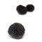 Black summer truffle isolated on a white studio background.