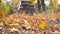 Black SUV driving fast along an empty road over yellow leaves at park. Colorful autumn foliage flies out from under