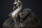 Black swan in baroque dress, concept of Graceful avian creature, created with Generative AI technology