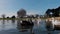 Black swan on a lake swimming with other swans