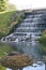 Black Swan Nesting near Man Made Water Cascade