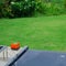 Black swimming pool in green grass garden