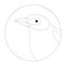 Black-tailed tityra bird head vector illustration