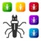 Black Termite icon isolated on white background. Set icons in color square buttons. Vector