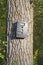 Black Trail Cam on Poplar Tree for Deer Hunting