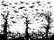 Black trees and bats scary background isolated