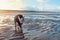 Black tri-color english british Bulldogs walking on seaside at sunset