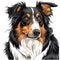 Black tricolor collie dog face on white, cartoon close portrait in sketch style. Scottish shepherd