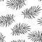 Black tropical palm leaves seamless pattern vector