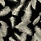 Black Tropical Textile. White Seamless Leaf. Gray Pattern Exotic. Decoration Leaves. Banana Leaves.  Exotic.