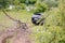 Black Truck Hauling Dead Tree Branch Through Field