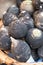 Black turnips, rapa nera, on sale at Eataly high-end food market in Turin, Italy.