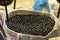 Black turtle beans on sale in San Miguel Market