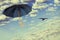 Black umbrella flies in dramatic sky.Mary Poppins Umbrella.