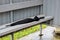 Black umbrella forgotten on a park bench