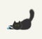 Black vector fluffy cat in colored socks