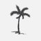 Black vector single palm tree silhouette icon isolated