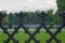 Black vintage fence. Forest background. Paths in the park