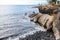 The black volcanic beach of La Caletta. Surf of The Atlantic Ocean and rocky coast of island. Tenerife, Canary Islands, Spain