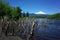 black volcanic sand with view of Snow capped Villarrica volcano. Nature of Chile. Pucon