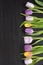 Black wenge wooden empty copy space background with colorful tulips