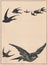 Black and white antique illustration of the birds. Vintage marvellous illustration of the birds. Old fabulous picture