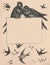 Black and white antique illustration of the birds. Vintage marvellous illustration of the birds. Old fabulous picture