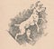 Black and white antique illustration shows a dog. Vintage marvellous illustration shows a cute dog. Old fabulous picture