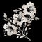 Black And White Azalea Silhouette Vector: Chinese Tradition Sticker Art