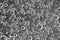 Black-and-white background with big and small grey bubbles inside a gray liquid.