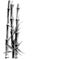 Black and white bamboo on white background