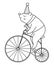 Black and white bear riding a bike. Vector circus animal. Amusement holiday line icon. Cute funny festival character outline clip