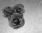 Black and white, beautiful four rose flower bouquet on blur rose background, copy space