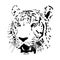 Black and white bengal tiger, isolated animal face vector