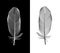 Black and White Bird Feather Drawn in Vector Illustration.