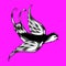 Black and White Bird on Purple Pink