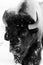 Black and White Bison Portrait