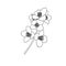 Black and white branch flower jasmine outline isolated on background. Hand-draw contour line and strokes branch flowers. Design