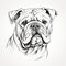 Black And White Bulldog Illustration: Strong And Refined Line Drawing