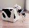 Black and white bulldog puppy dog leans on cow hide ottoman.