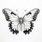 Black And White Butterfly Illustration With Bold Defined Lines