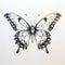 Black And White Butterfly Inked Sketch On White Background