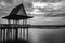 Black and White or bw photo image of single one or alone vintage pavilion in lake or swamp