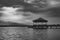 Black and White or bw photo image of single one or alone vintage pavilion in lake or swamp with birds.