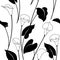 Black and white calla lily pattern