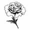 Black And White Carnation Silhouette Vector: Tattoo-inspired Floral Illustration