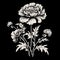 Black And White Carnations: A Qing Dynasty-inspired Illustration