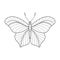 Black and White Cartoon Contour Striped Butterfly for Coloring Book. Isolated Object Uncolored Hand Drawing Cute Butterfly