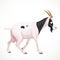 Black and white cartoon horned goat